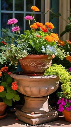 Container gardening Ideas