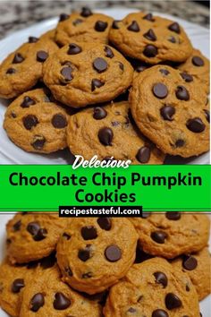 chocolate chip pumpkin cookies on a white plate with green border and text overlay that reads delicious