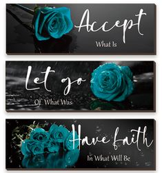 three banners with roses and the words accept, let go, have faith in what will be