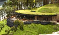 an aerial view of a house in the middle of a lush green area with trees and water