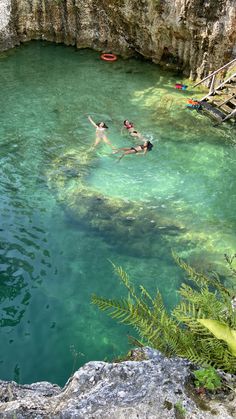 two people are swimming in the water near some rocks and green plants on either side of them