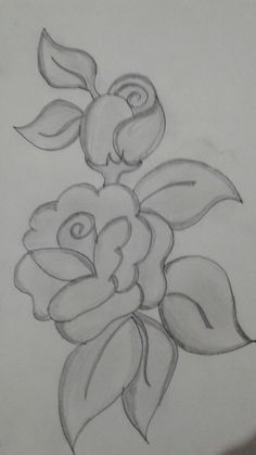 a pencil drawing of a flower with leaves