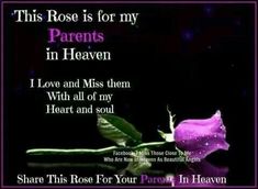 this rose is for my parents in heaven i love and miss him with all of my heart and soul