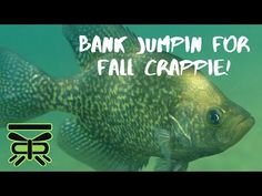 a fish with the words bank jump for fall crappie