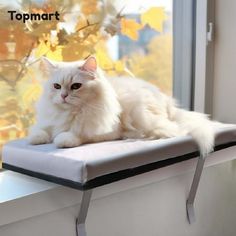 a white cat sitting on top of a window sill