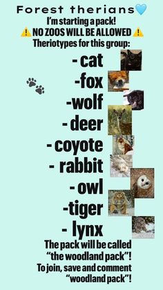 a poster with different types of animals on it's back side and words in the middle