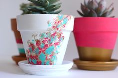 three flower pots sitting next to each other on top of a white table with succulents in them