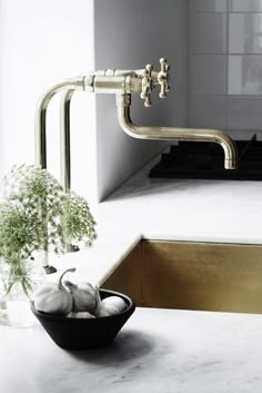 an old faucet in a kitchen sink with garlic and flowers on the counter