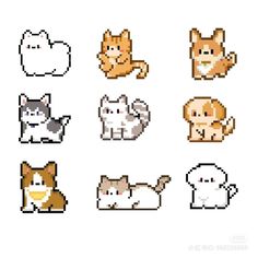 pixel art cats and kittens are shown in different colors, sizes and shapes on a white background