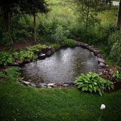 a small pond in the middle of a lush green field with rocks and plants around it