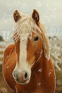 a brown and white horse standing on top of a field