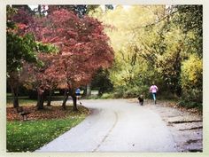 two people walking down a road in the fall