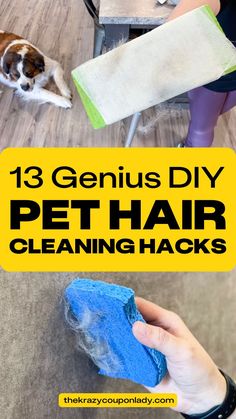 a person holding a blue sponge next to a dog on the floor with text overlay that reads 13 genius diy pet hair cleaning hacks