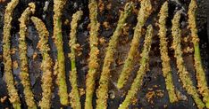 asparagus sprouts are being cooked on a grill with some seasoning