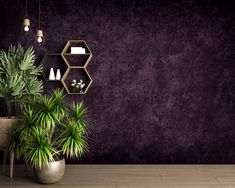 a potted plant sitting on top of a wooden floor next to a purple wall