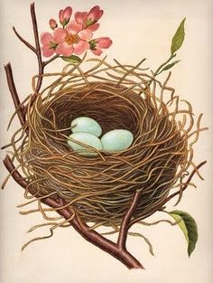 a bird's nest with two eggs in it and pink flowers on the branch