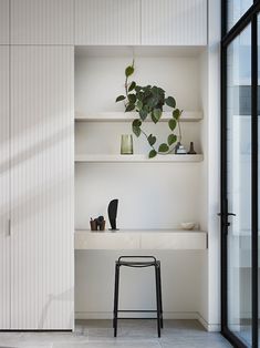 an empty room with shelves and plants on the wall, along with a stool in front of it