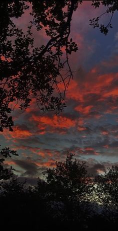 the sun is setting behind some trees and it looks like they are going to fall