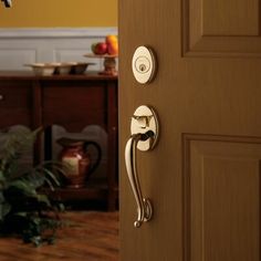 an open door with a handle on it and a potted plant in the background