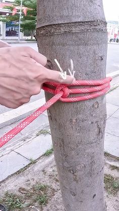 a person is tying a red rope around a tree