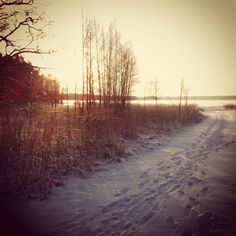 the sun is setting on a snowy path near some trees and water with footprints in the snow