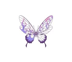 a drawing of a purple butterfly on a white background