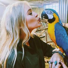 a woman kissing a blue and yellow parrot on the nose in a caged area