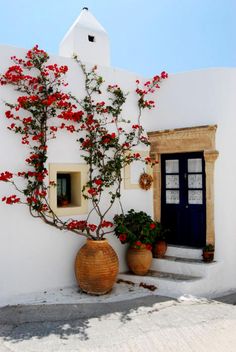 two vases with red flowers on the outside of a house