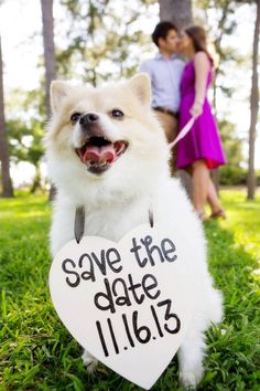 a dog holding a sign that says save the date