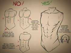 the instructions for how to draw a man's torso