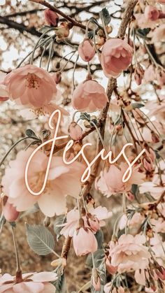 pink flowers with the words jesus on it in front of a tree filled with leaves