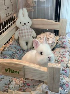 a small white rabbit sitting in a wooden crib