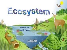 an image of the book cover for ecosytem