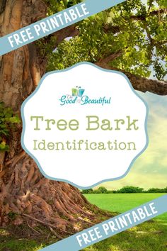 a tree bark identification sign with the words free printable