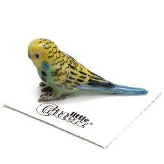 a yellow and blue parakeet sitting on top of a piece of white paper