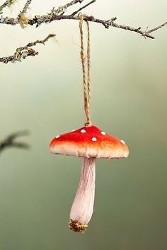 a red and white mushroom hanging from a tree branch