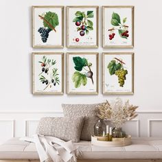 a set of four framed pictures hanging on the wall above a couch in a living room