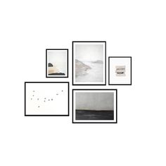 four black and white photos hanging on a wall with birds flying over them, all in different frames