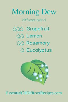 The Morning Drew essential oil diffuser blend contains grapefruit, lemon, rosemary, and eucalyptus essential oils. Essential Oil Spray Recipes, Essential Oil Perfumes Recipes, Essential Oil Combinations, Young Living Essential Oils Recipes, Essential Oil Spray, Essential Oils Herbs