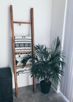 a potted plant sitting next to a wooden ladder in a room with white walls