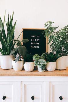 some plants are sitting on top of a white dresser with a sign that says life is short, buy the plants