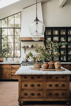 a kitchen with wooden cabinets and lots of plants on the counter top in front of large windows