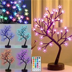 four different types of trees with lights on them and the same tree is shown in multiple colors