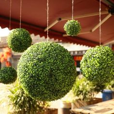 some green balls hanging from the ceiling in front of potted plants on tables and benches