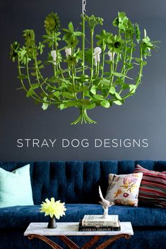 a living room with a blue couch and green plants hanging from the chandelier