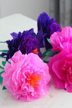 three pink and purple flowers sitting on top of a white table next to each other