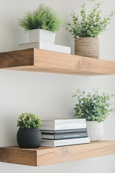 two wooden shelves with plants and books on them