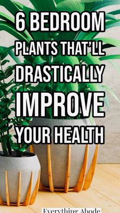 two potted plants with the words 6 bedroom plants that will dramatically improve your health