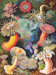 an artistic painting with many different types of plants and animals on it's surface