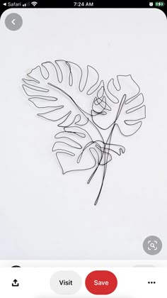 a drawing of a leaf on a white paper with the words save written in black ink